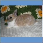 Hasi, &dagger; 05.05.2011