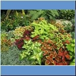 Palmengarten Frankfurt