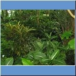 Palmengarten Frankfurt