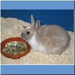 Hasi, &dagger; 05.05.2011