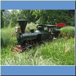 Palmengarten Frankfurt