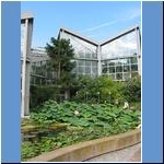 Palmengarten Frankfurt