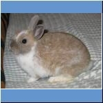 Hasi, &dagger; 05.05.2011