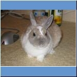 Hasi, &dagger; 05.05.2011