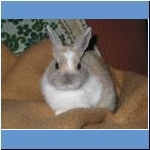 Hasi, † 05.05.2011