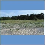Usedom
