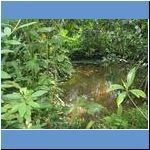 Palmengarten Frankfurt